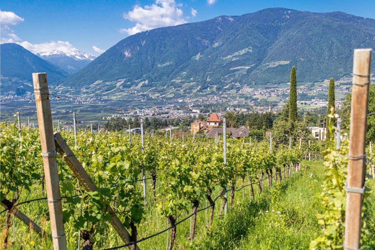 Ferienwohnung Pinot Merano Exterior foto