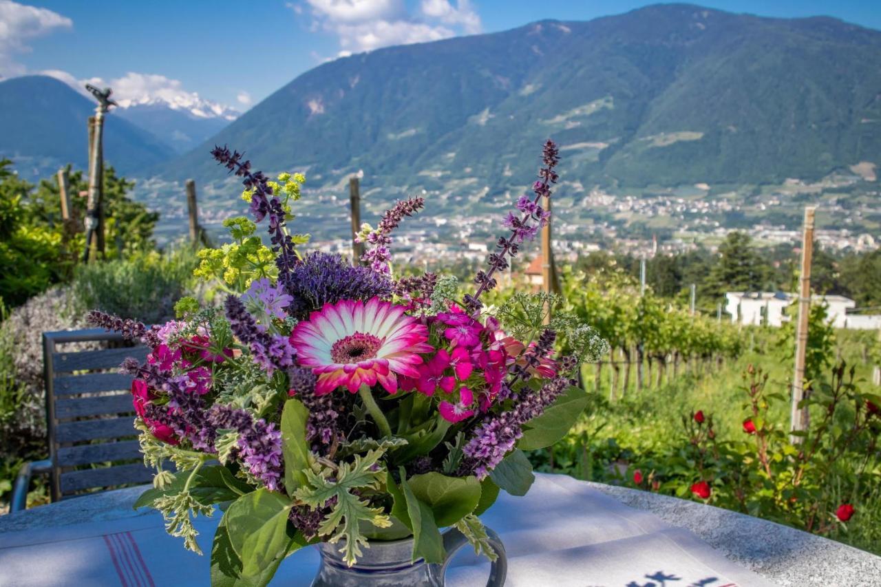 Ferienwohnung Pinot Merano Exterior foto